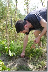 home grown produce in Petrinja Croatia
