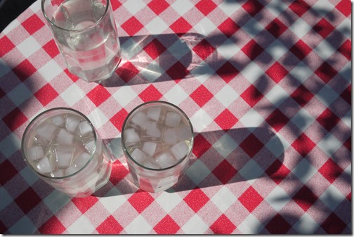 elderflower cordial in Petrinja Croatia
