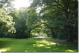 Tiergarten, Berlin - sprawling green