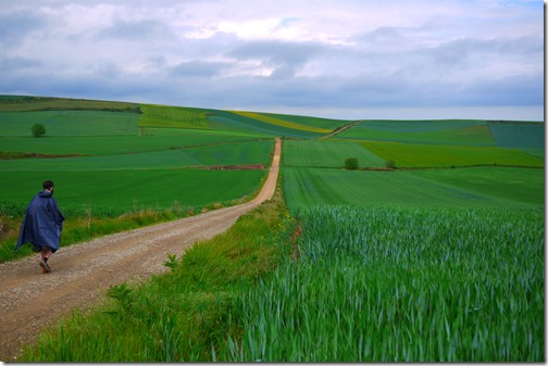 Walking the Camino de Santiago near Santo Domingo Calazada in Spain