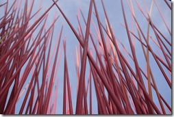 Public art in Melbourne CBD