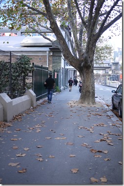 Autumn in Melbourne Victoria Australia