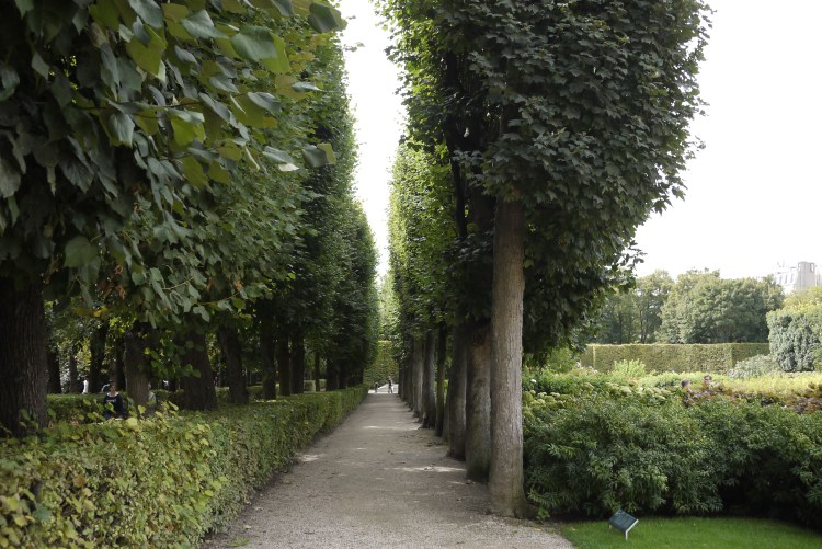 Gardens at Museum Rodin 